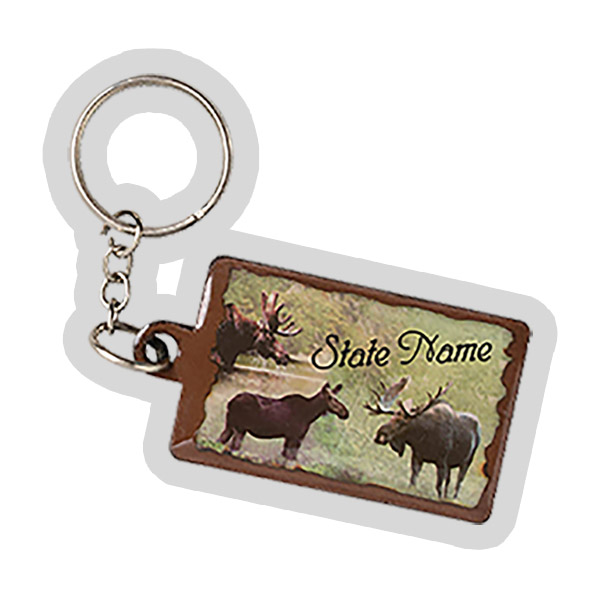 Wholesale - Texas Souvenirs - Keychains